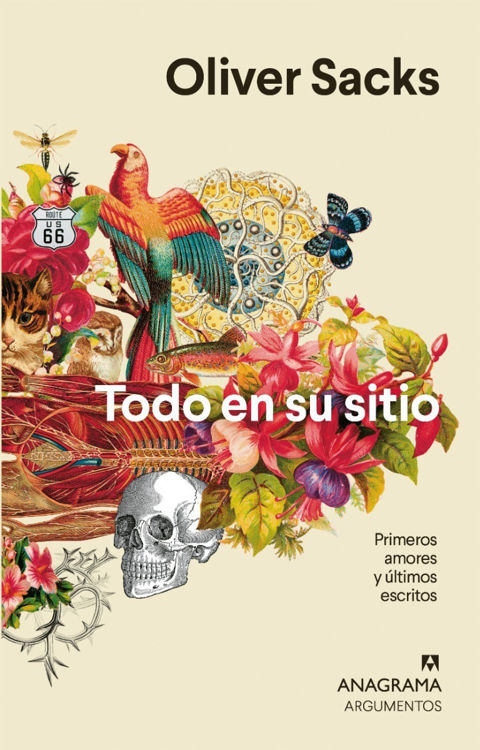 Imagen de Todo En Su Sitio / Oliver Sacks