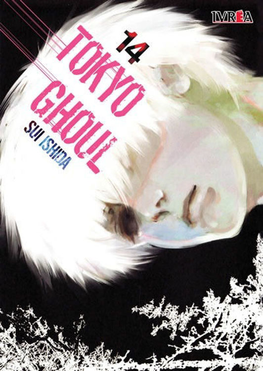 Imagen de Tokyo Ghoul 14 / Sui Ishida / Ivrea