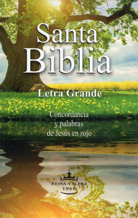 Imagen de Santa Biblia Reina Valera 1960 - Letra Grande