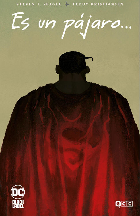 Imagen de Es Un Pájaro... (Superman) - Steven T. Seagle / ECC