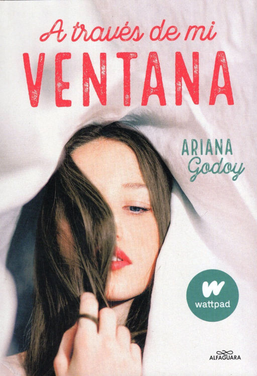 Imagen de A Través De Mi Ventana (Trilogía Hermanos Hidalgo 1) / Ariana Godoy