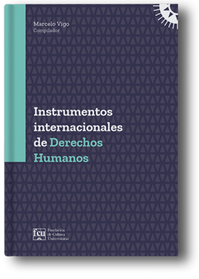 Imagen de Instrumentos Internacionales De Derechos Humanos