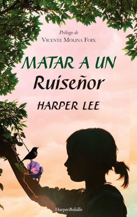 Imagen de Matar A Un Ruiseñor / Harper Lee