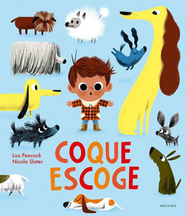 Imagen de COQUE ESCOGE / NICOLA SLATER