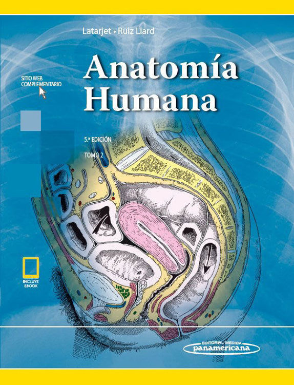 Imagen de ANATOMÍA HUMANA - 2 TOMOS (5A EDICIÓN) / LATARJET