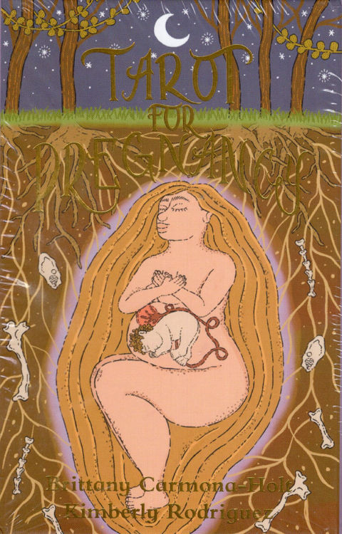 Imagen de TAROT FOR PREGNANCY (CARTAS + LIBRO GUÍA)