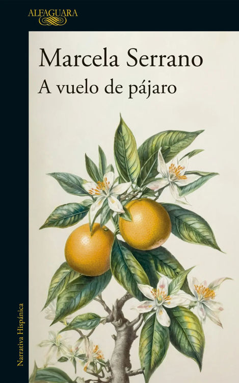 Imagen de A VUELO DE PÁJARO / MARCELA SERRANO