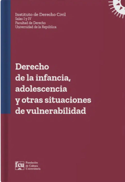 Imagen de Derecho de infancia, adolescencia y otras situaciones de vulnerabilidad