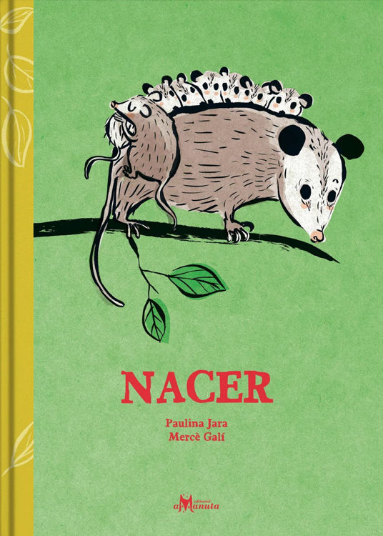 Imagen de NACER / PAULINA JARA