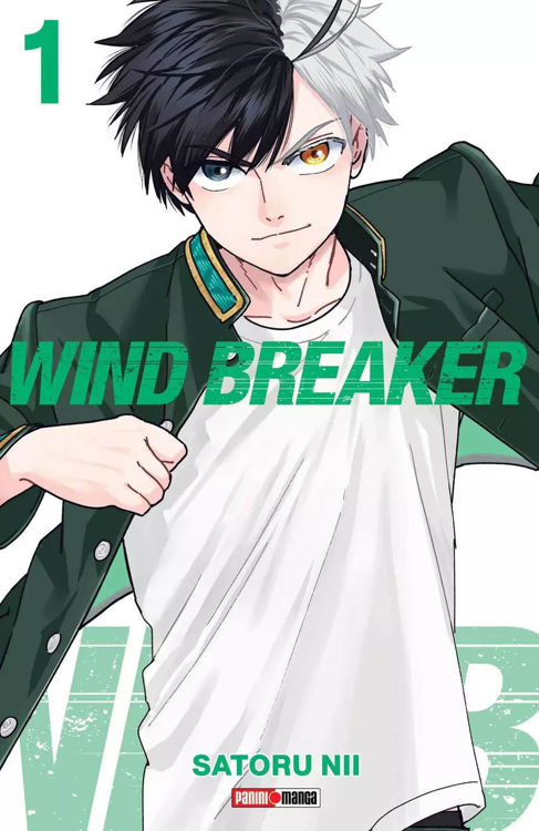 Imagen de WIND BREAKER VOL. 01 / SATORU NII