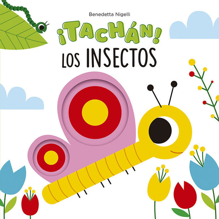 Imagen de ¡TACHÁN! LOS INSECTOS / BENDETTA NIGELLI