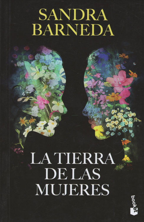Imagen de LA TIERRA DE LAS MUJERES / SANDRA BARNEDA
