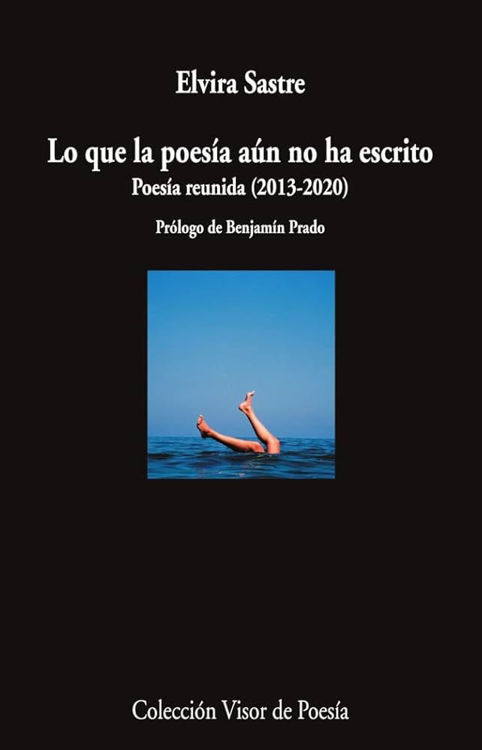 Imagen de LO QUE LA POESÍA AÚN NO HA ESCRITO (POESÍA REUNIDA 2013 - 2023) / ELVIRA SASTRE