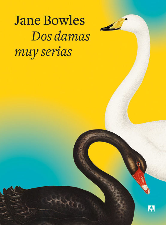 Imagen de DOS DAMAS MUY SERIAS / JANE BOWLES
