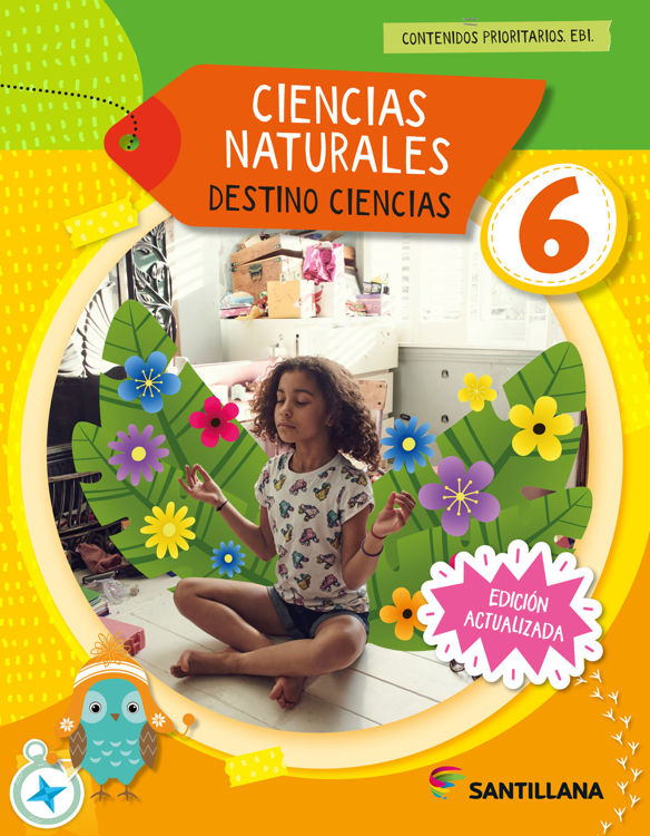 Imagen de VUELTA Y VUELTA, HISTORIA, GEOGRAFIA & CIENCIAS NATURALES 6 - DESTINO CIENCIAS / SANTILLANA