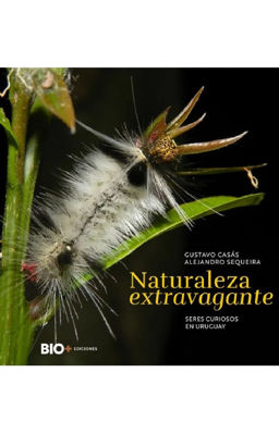Imagen de NATURALEZA EXTRAVAGANTE /  GUSTAVO CASAS, ALEJANDRO SEQUEIRA