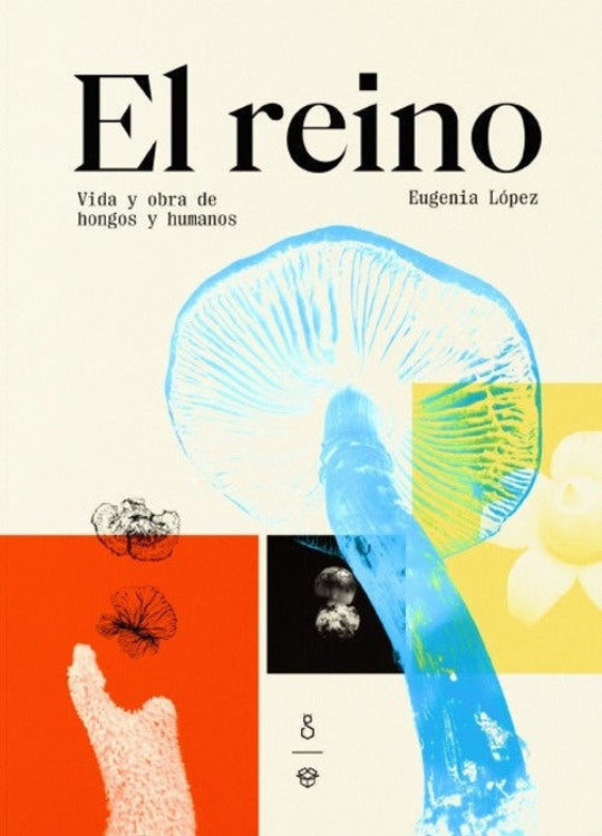 Imagen de EL REINO / EUGENIA LOPEZ