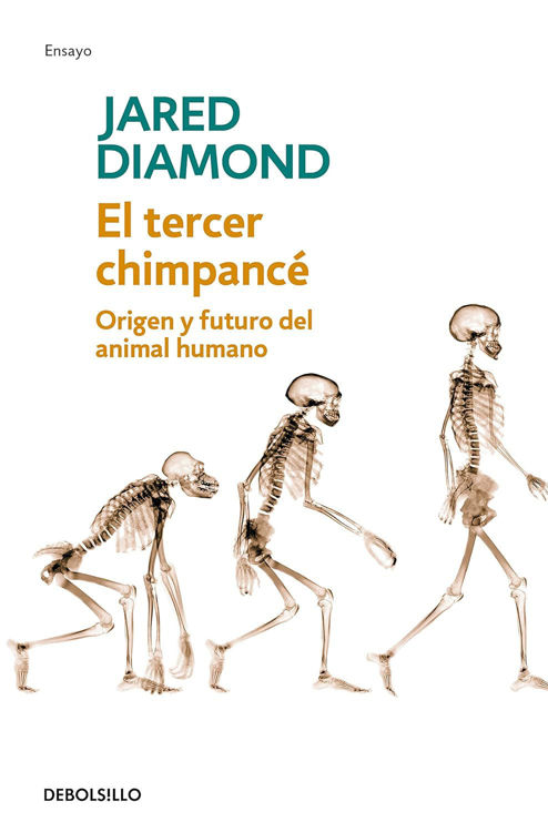 Imagen de EL TERCER CHIMPANCÉ / JARED DIAMOND