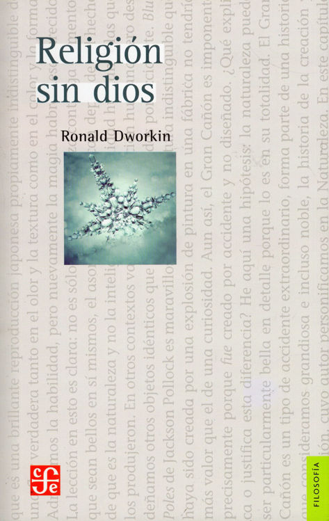 Imagen de RELIGIÓN SIN DIOS / RONALD DWORKIN