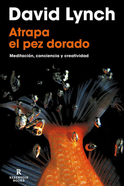 Imagen de ATRAPA EL PEZ DORADO / DAVID LYNCH