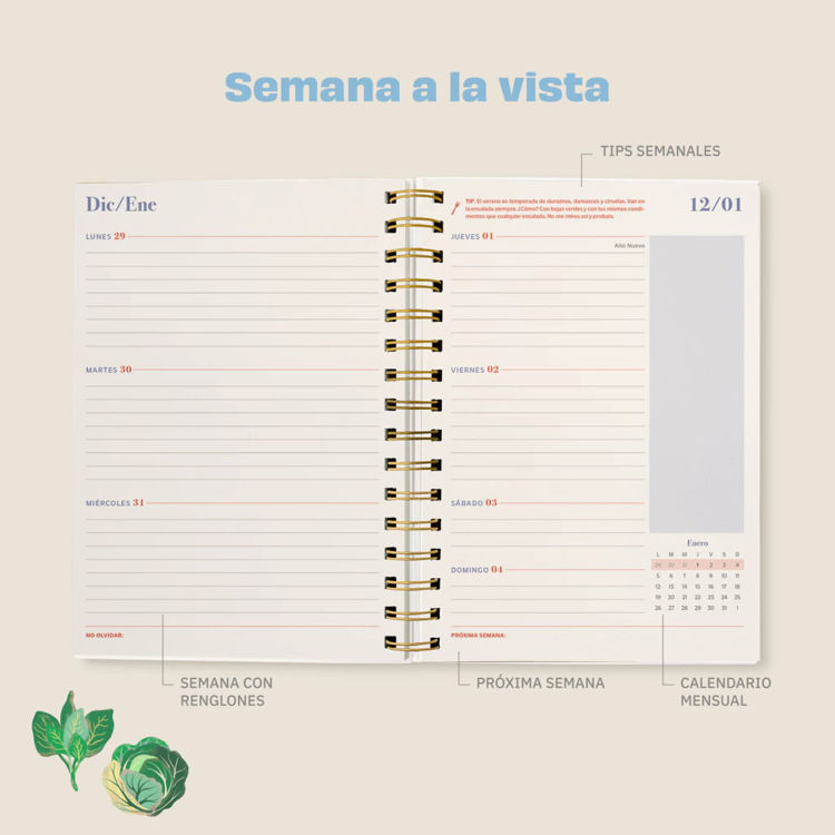 Imagen de AGENDA 2026: PAULINA COCINA FIESTA DE VERDURAS (SEMANAL)