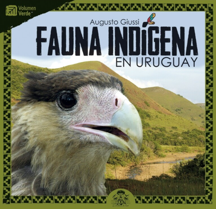 Imagen de FAUNA INDÍGENA EN URUGUAY (VOLUMEN VERDE) / AUGUSTO GIUSSI