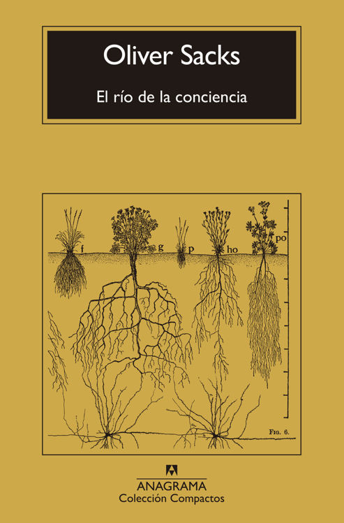 Imagen de EL RÍO DE LA CONCIENCIA / OLIVER SACKS