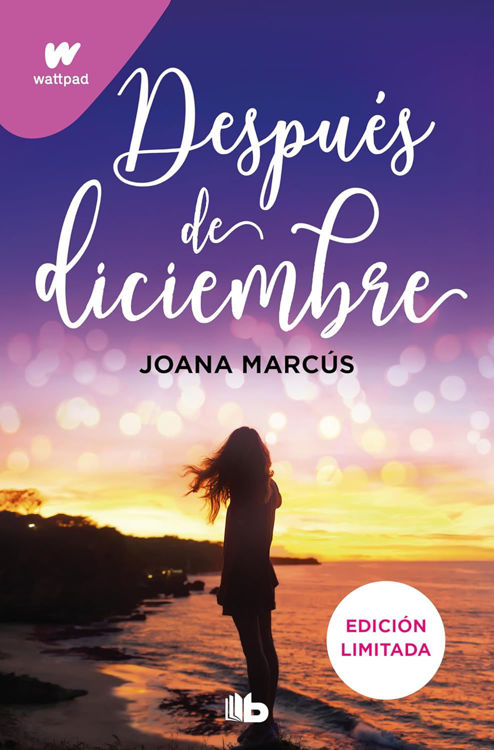 Imagen de DESPUES DE DICIEMBRE (LIBRO 2) / JOANA MARCÚS
