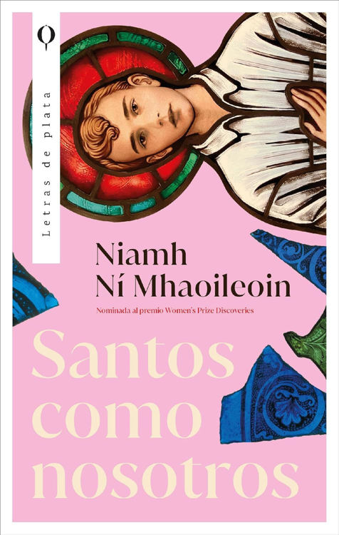 Imagen de SANTOS COMO NOSOTROS / NIAMH NÍ MHAOILEOIN