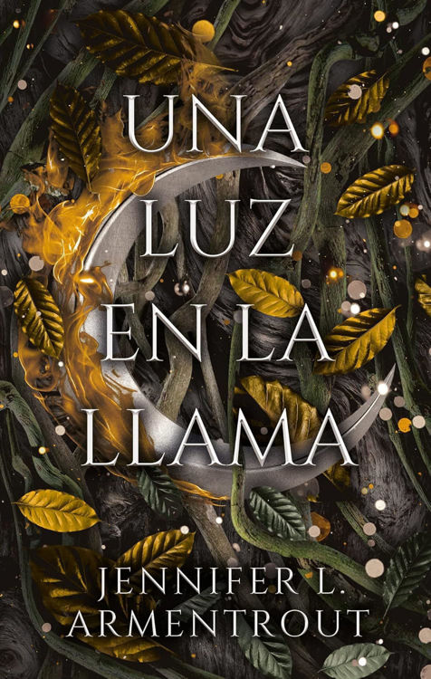 Imagen de UNA LUZ EN LA LLAMA / JENNIFER L. ARMENTROUT