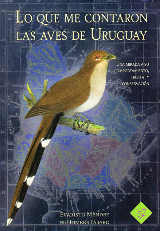 Imagen de LO QUE ME CONTARON LAS AVES DE URUGUAY / EVARISTO MÉNDEZ