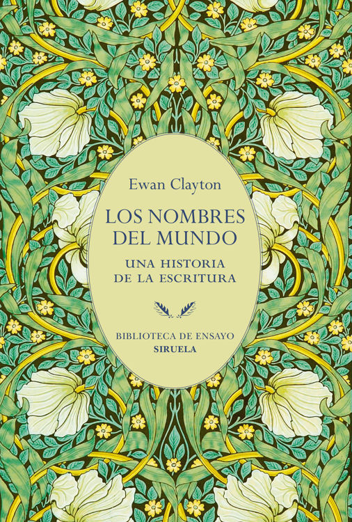 Imagen de LOS NOMBRES DEL MUNDO (UNA HISTORIA DE LA ESCRITURA) / EWAN CLAYTON