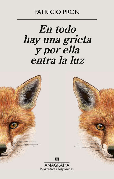 Imagen de EN TODO HAY UNA GRIETA Y POR ELLA ENTRA LA LUZ / PATRICIO PRON