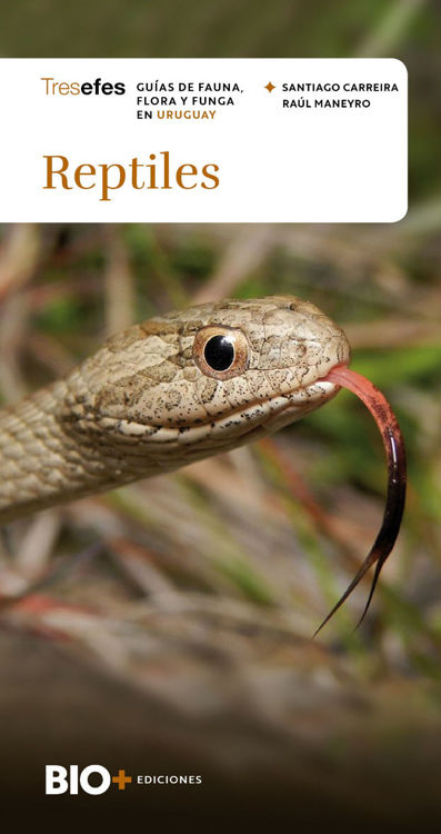 Imagen de REPTILES / SANTIAGO CARREIRA, RAÚL MANEYRO