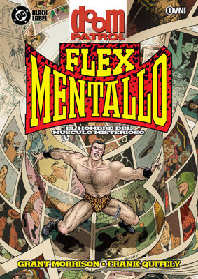 Imagen de DOOM PATROL: FLEX MENTALLO - EL HOMBRE DEL MÚSCULO MISTERIOSO / GRANT MORRISON