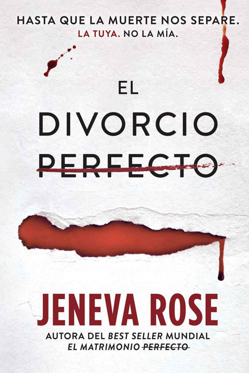 Imagen de EL DIVORCIO PERFECTO / JENEVA ROSE