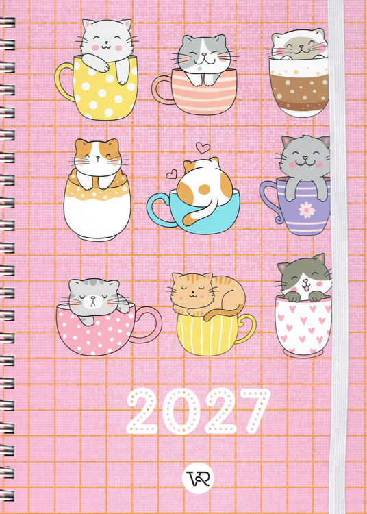 Imagen de AGENDA 2027 CHICAS TAZAS (SEMANAL) / VR